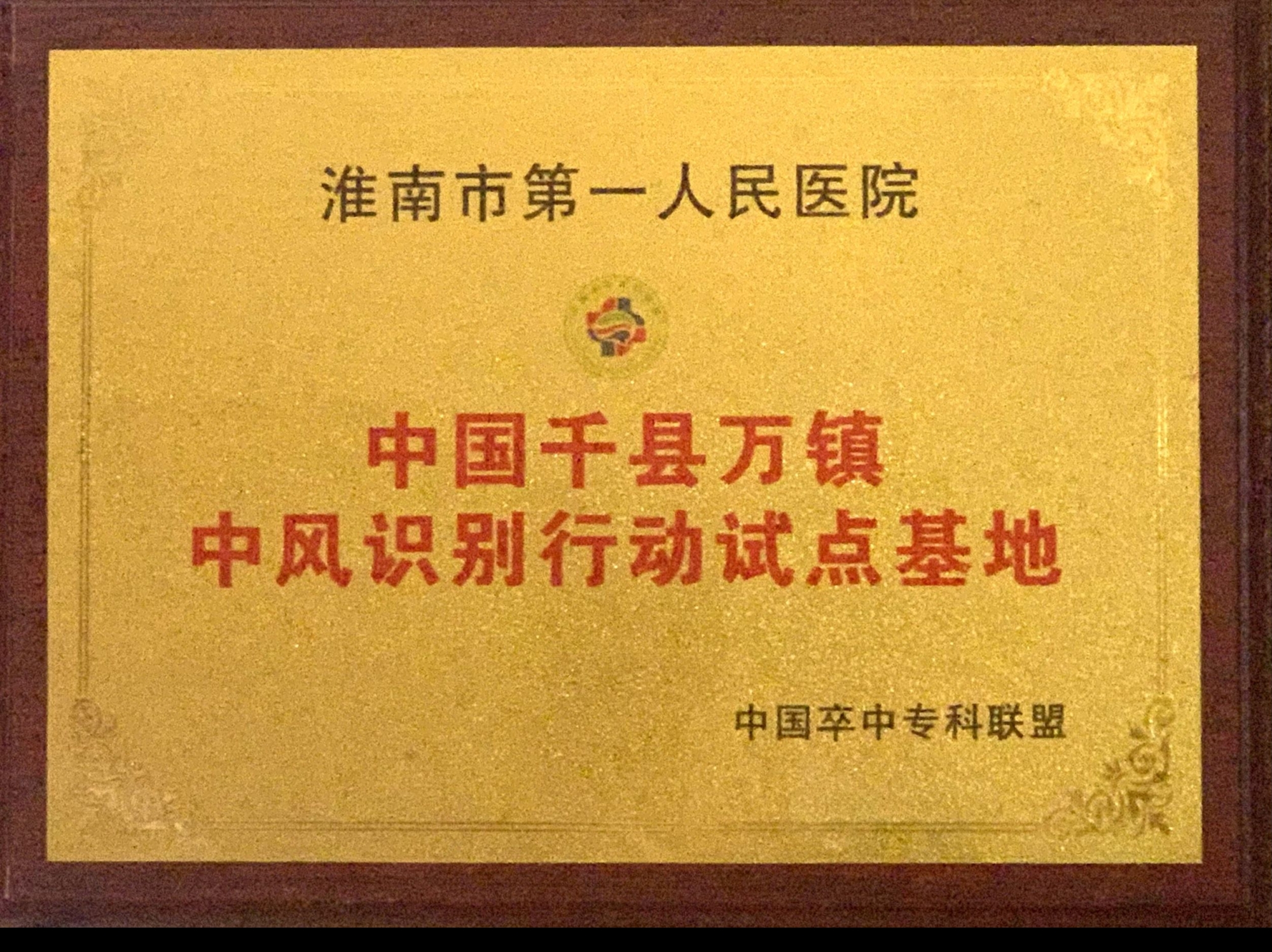 4、中國千縣萬鎮(zhèn)中風(fēng)識別行動(dòng)示范基地.jpg